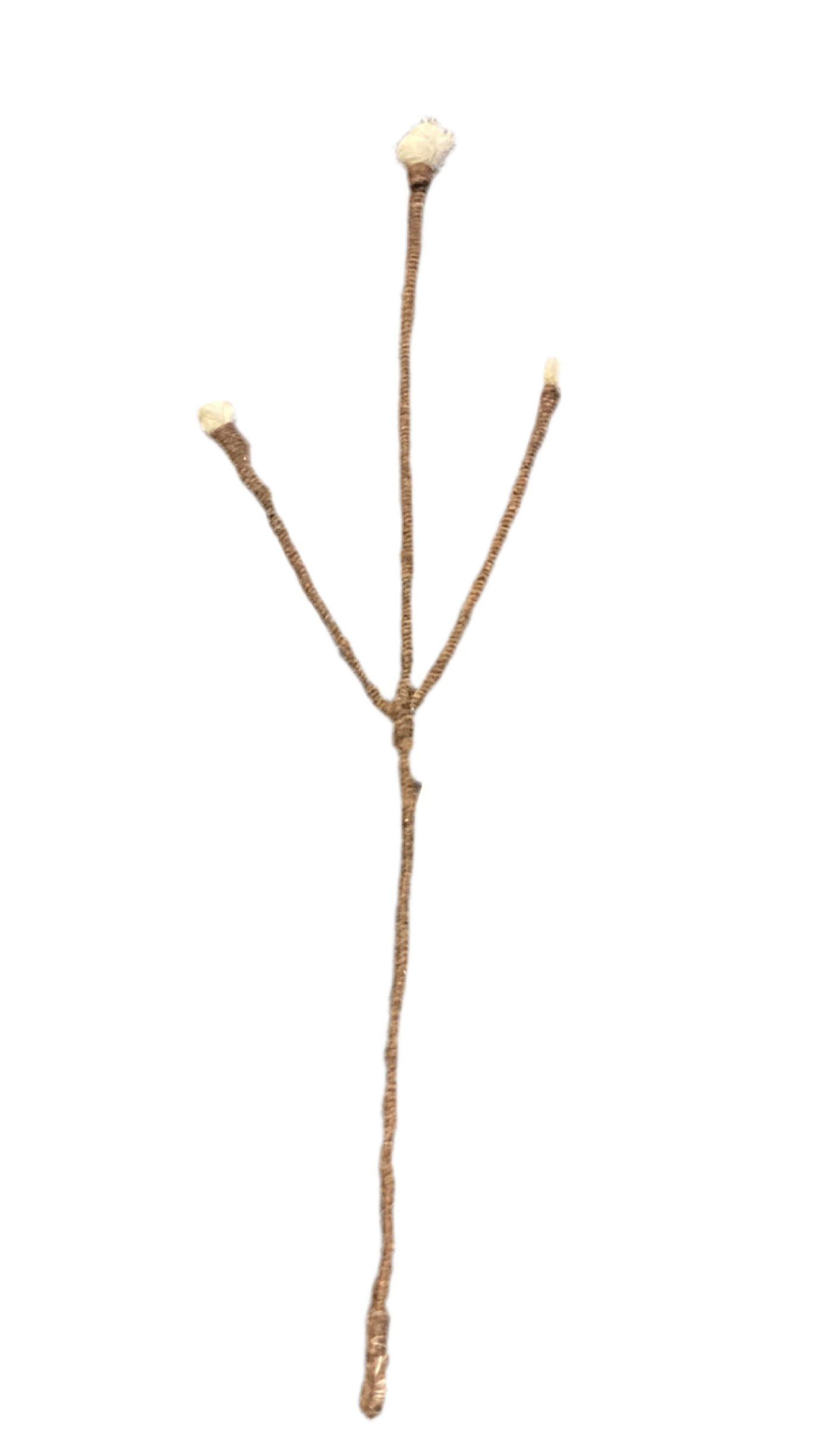 Decorative Branches