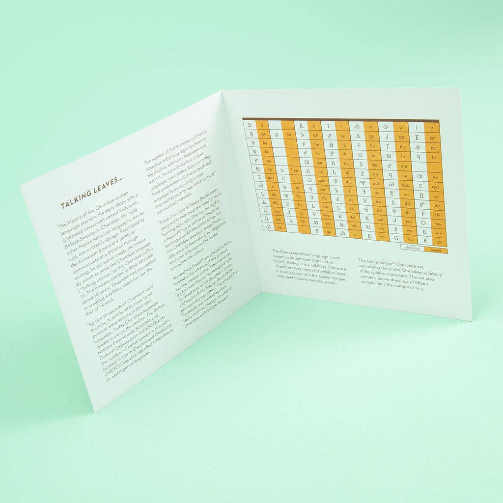 Uncle Goose Cherokee Blocks