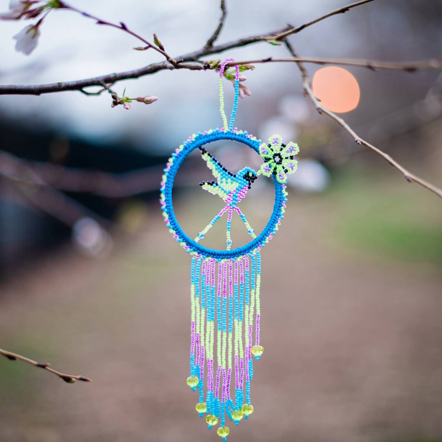 Hummingbird Dream Catcher