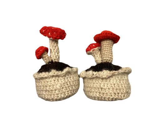 Crochet Mushroom Planter