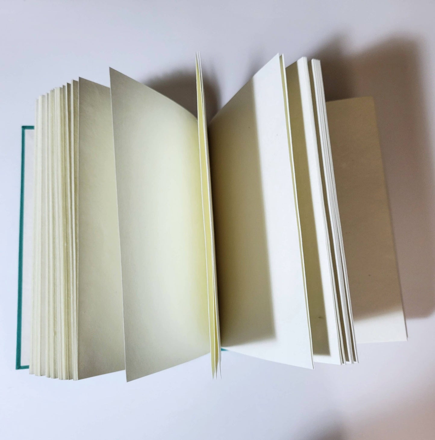 Cuaderno de tapa dura laminado con árbol de hoja perenne