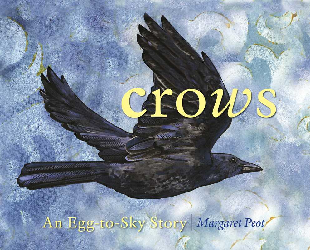 Crows by Margaret Peot: Hardcover; 40 pages / English