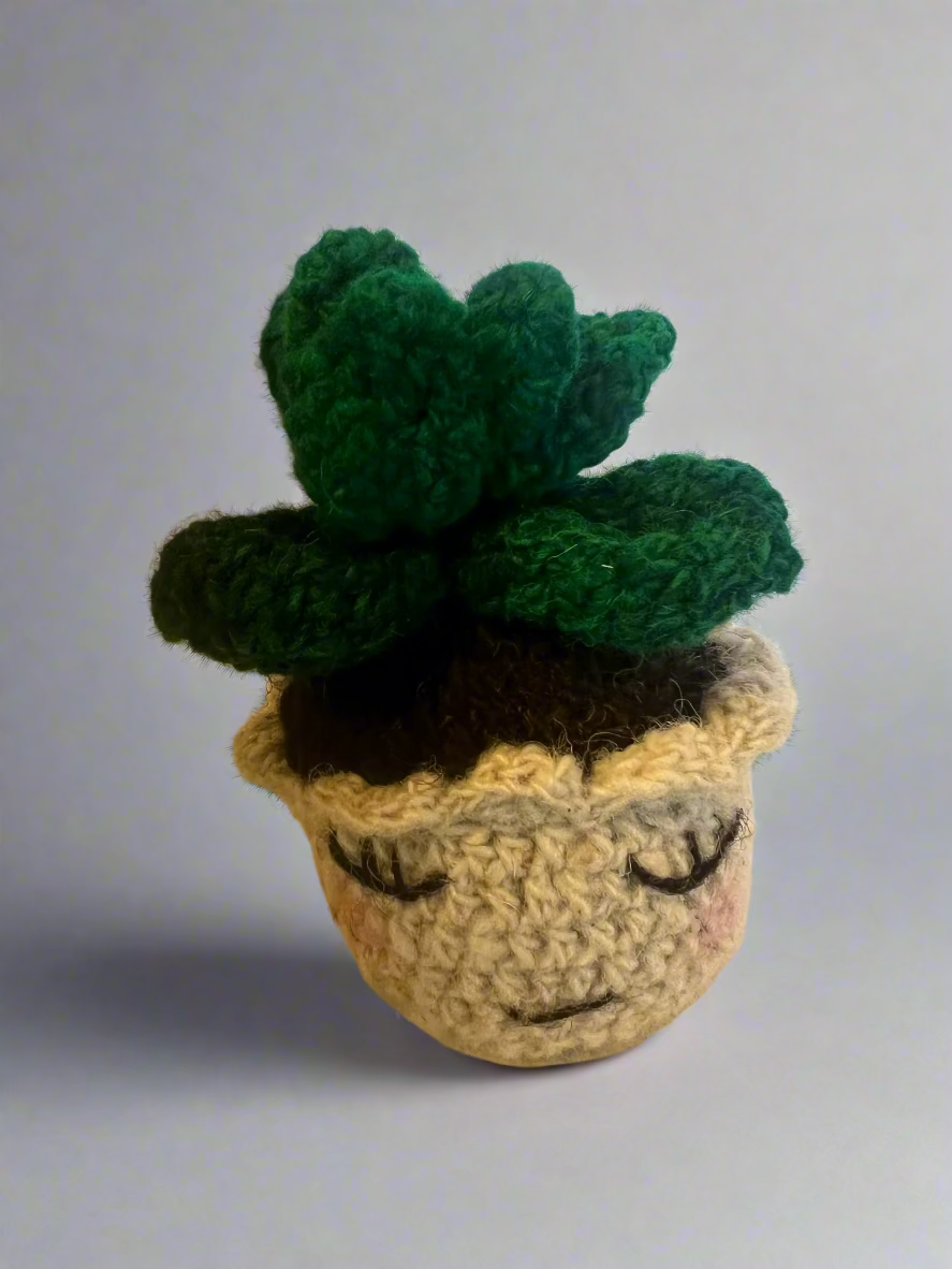 handcrafted wool succulent in a little pot. measures about 3.5" high by 3"
