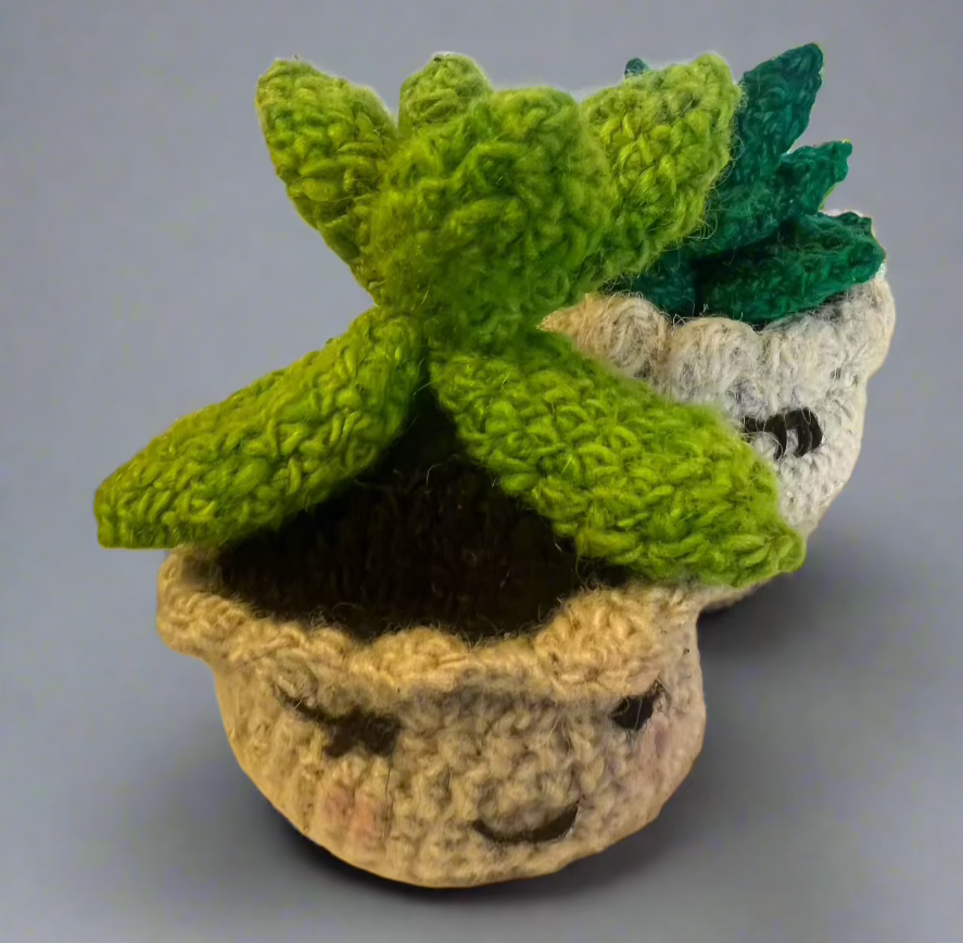 handcrafted wool succulent in a little pot. measures about 3.5" high by 3"