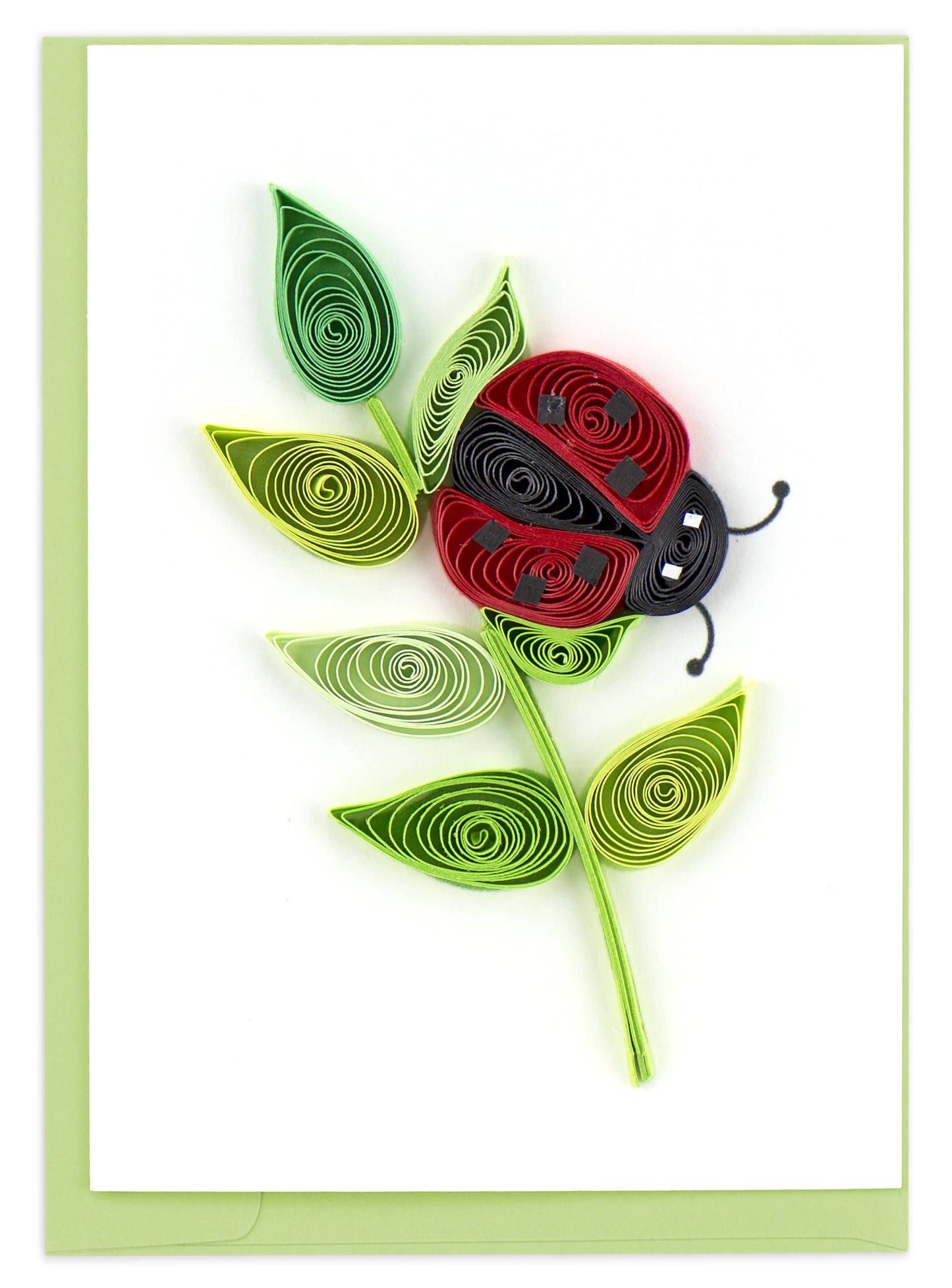 Mini tarjeta con recinto de regalo de mariquita