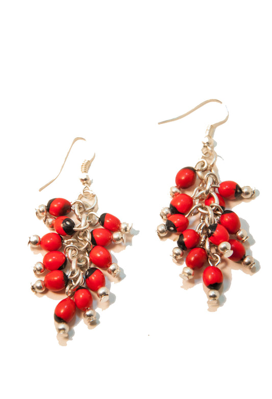 Achira Earrings