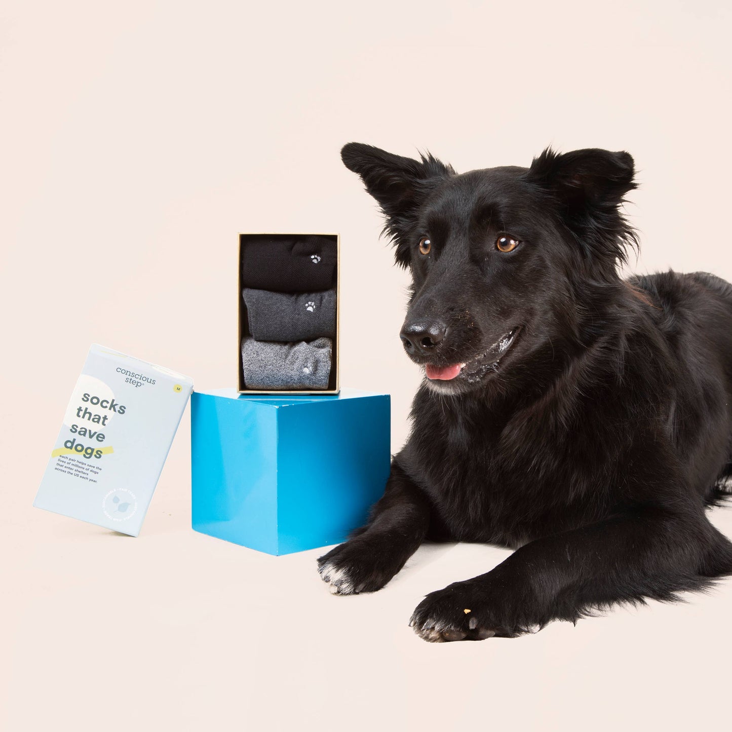 Boxed Set Ankle Socks that Save Dogs: Medium