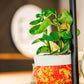 Kantha Basket