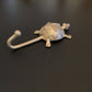 Brass Hooks