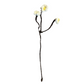 Floral Accent Branches