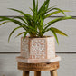 Geo Elephant Terracotta Planter