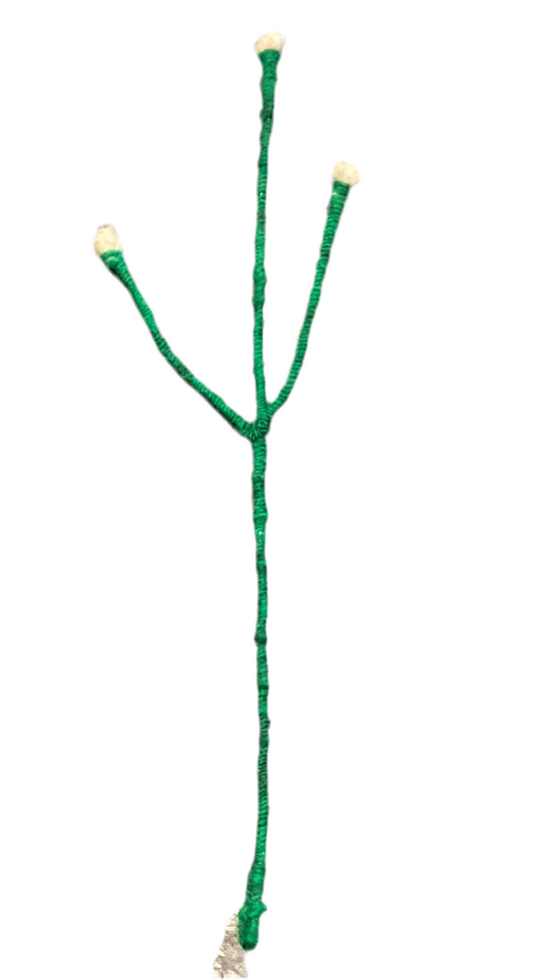 White buds branch