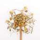 Chamomile Dream -BULK Herbal Tea in a Large Resealable Pouch
