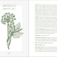 Complete Folk Herbal by Rebecca Beyer: Hardcover; 384 pages / English