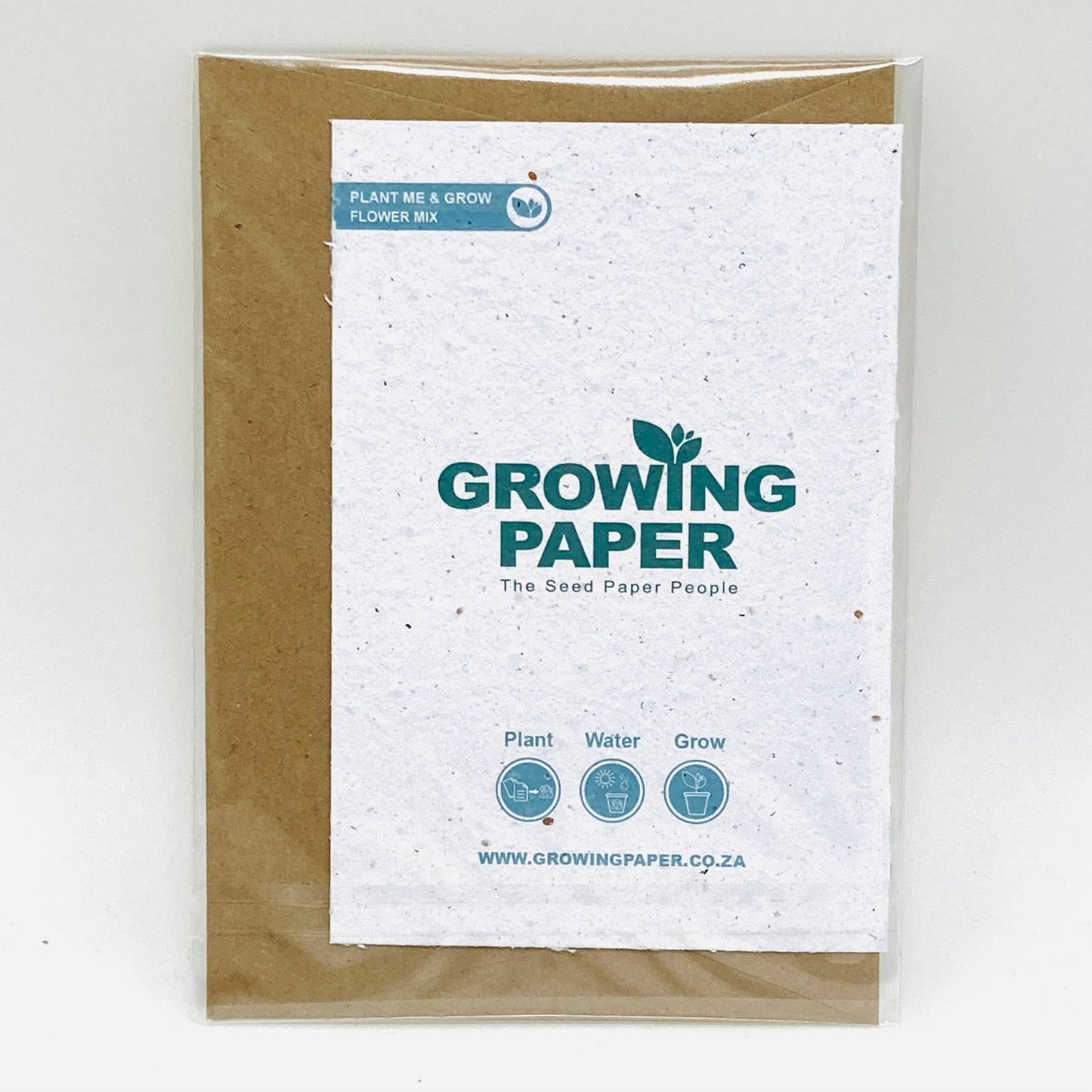 Growing Paper greeting card - Cactus: Paper Band