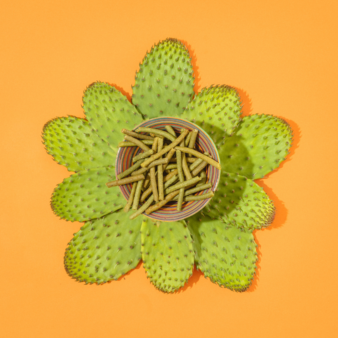 Chile Turmeric - Crunchy Nopales Cactus Nemi Snacks