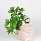 Petite Crouching Cat Planter