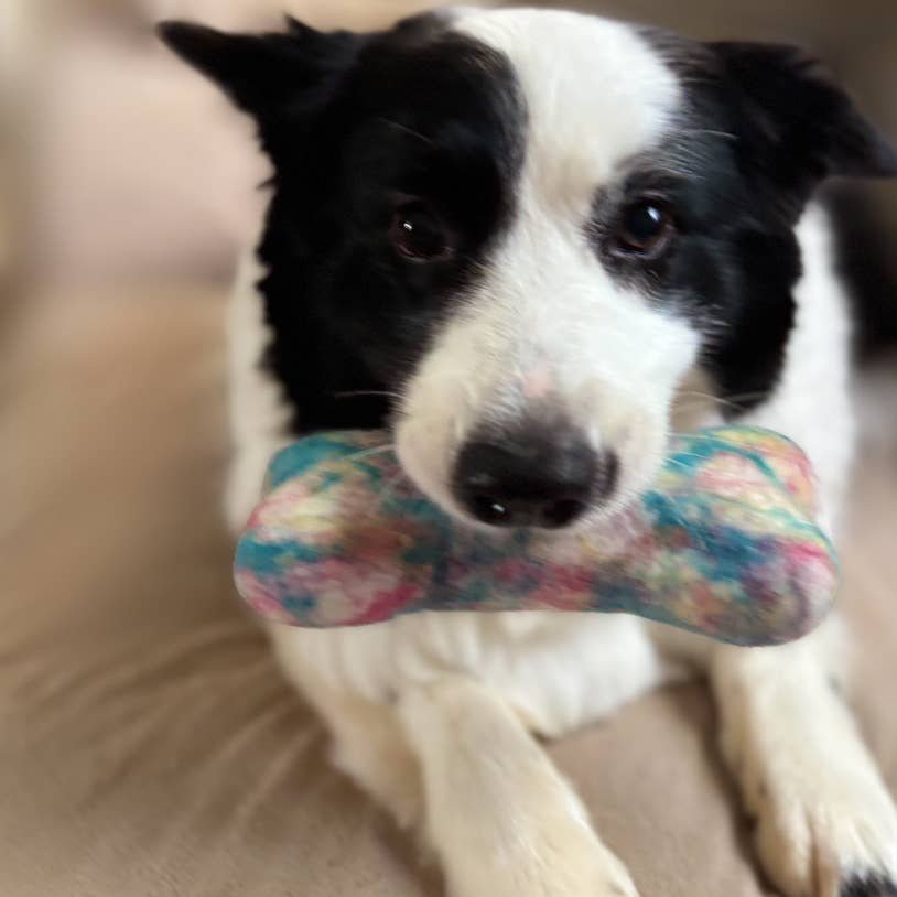 Eco Wool Dog Bones/Toys: Polka Dot & Tie-Dyed (Fair Trade): Tye-Dyed / Large