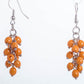 Achira Earrings