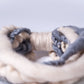 African Merino Wool Sobo Neck Scarf